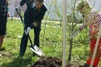 Посадки Монастырский сад Спасо-Прилуцкого монастыря г. Вологда 